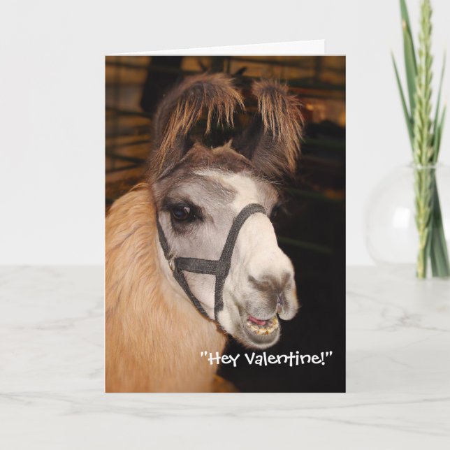 Llama Llove Valentine's Day Card (Front)