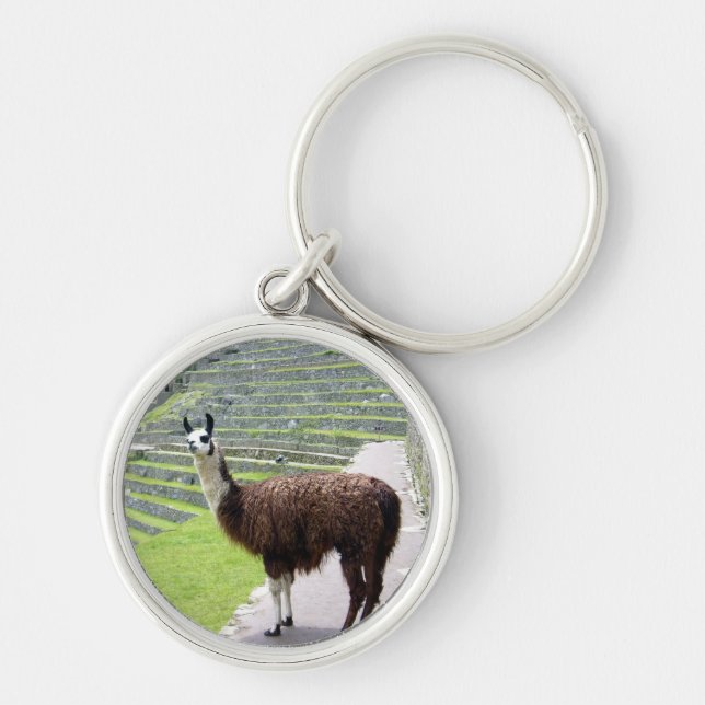 llama looking key ring (Front)