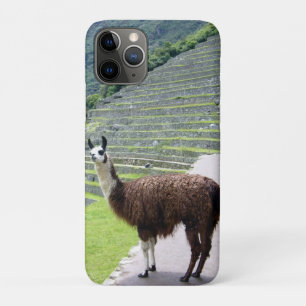 llama looks iPhone 11 pro case