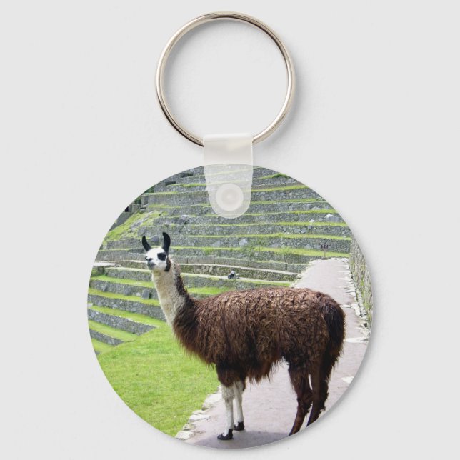llama looks key ring (Front)