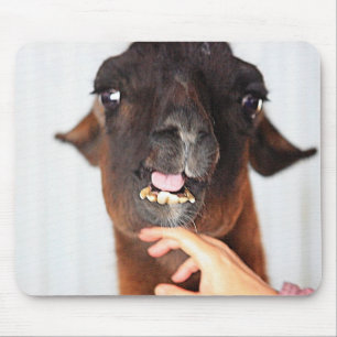 Llama Love Mouse Pad