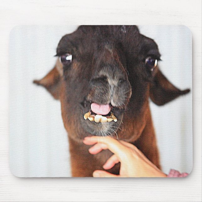 Llama Love Mouse Pad (Front)