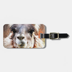Llama Luggage Tag
