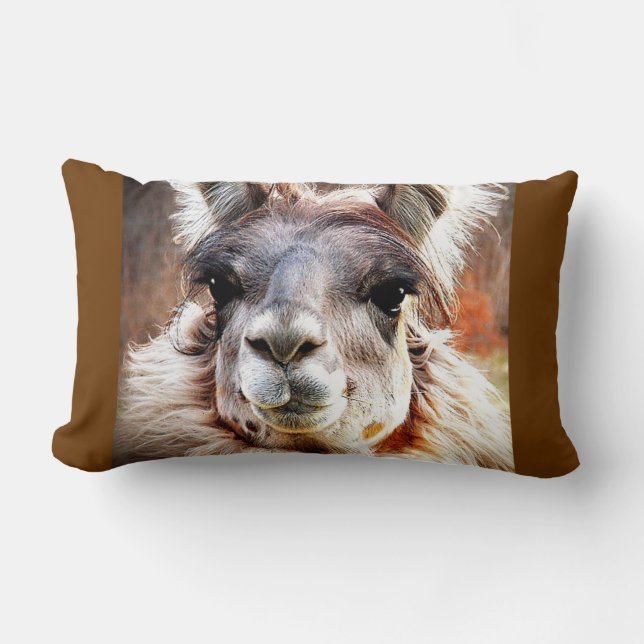 Llama Lumbar Cushion (Front)