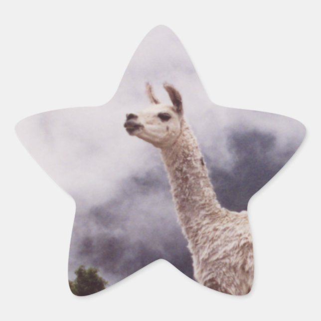 Llama Machu Picchu, Peru Star Sticker (Front)