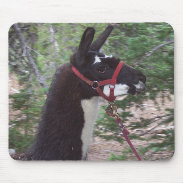 Llama Mama Mouse Pad (Front)
