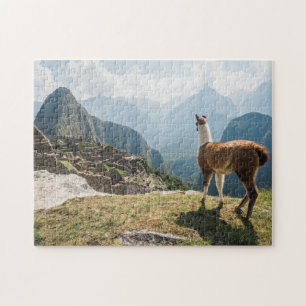 Llama Overlooking Ruins   Machu Picchu, Peru Jigsaw Puzzle