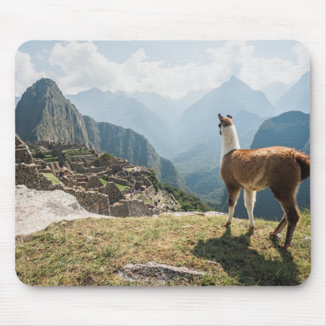 Llama Overlooking Ruins | Machu Picchu, Peru Mouse Pad (Front)
