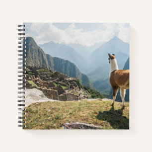 Llama Overlooking Ruins Machu Picchu, Peru Notebook