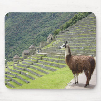 llama pad mouse pad