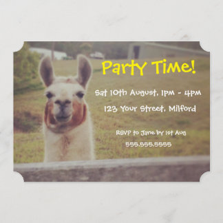 Llama Party Invitation