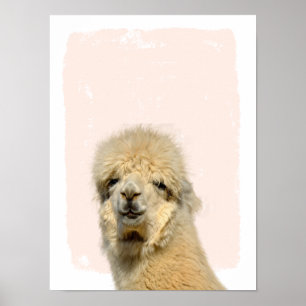 LLama peek a boo nursery art Poster