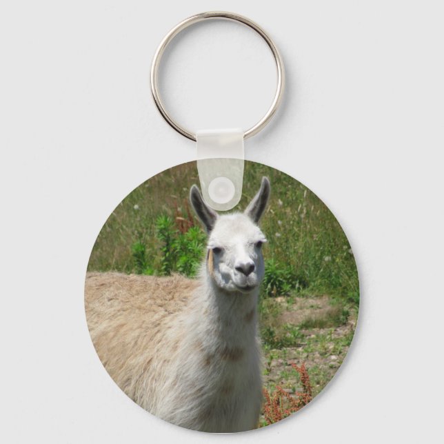 Llama Photograph Key Ring (Front)