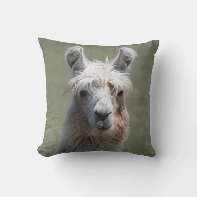 Llama Pillow (Front)