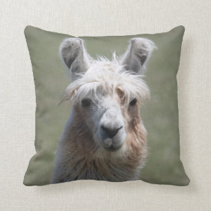 Llama Pillow