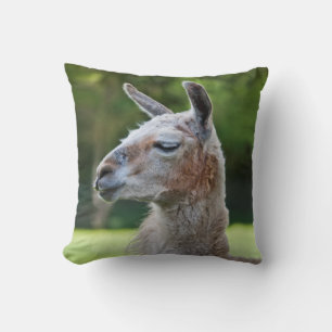 Llama Pillow