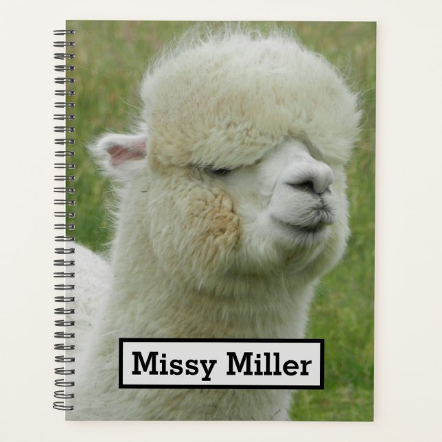 Llama Planner (Front)