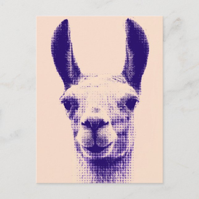 Llama Postcard (Front)