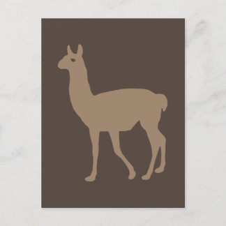 Llama Postcard