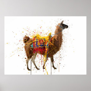 Llama Poster