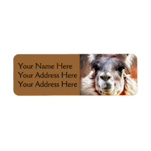 Llama Return Address Label