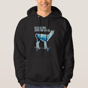 Llama Skateboard Skater Boy Girl Birthday Present Hoodie