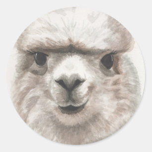 Llama Smiles Set of 20 Stickers Envelope Seals