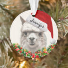 Llama Smiles Your Name & Year Alpaca Christmas
