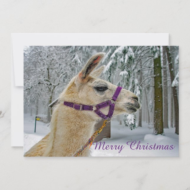 Llama Snow Photo Christmas Flat Holiday Card (Front)