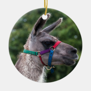 Llama Superiority Ceramic Ornament