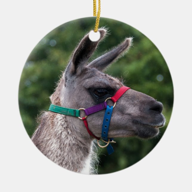 Llama Superiority Ceramic Ornament (Front)