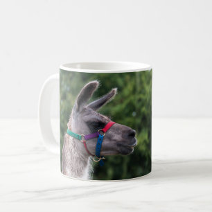 Llama Superiority Coffee Mug