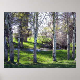 Llama Through Trees Poster