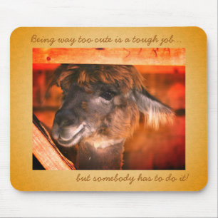 Llama Too Cute Funny Animal  Mouse Pad