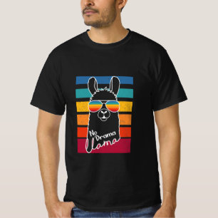 Llama Wearing Sunglasses With Colourful Strips T-Shirt