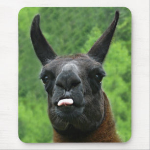 Llama with Attitude - Sticking out Tongue Photo Mouse Pad