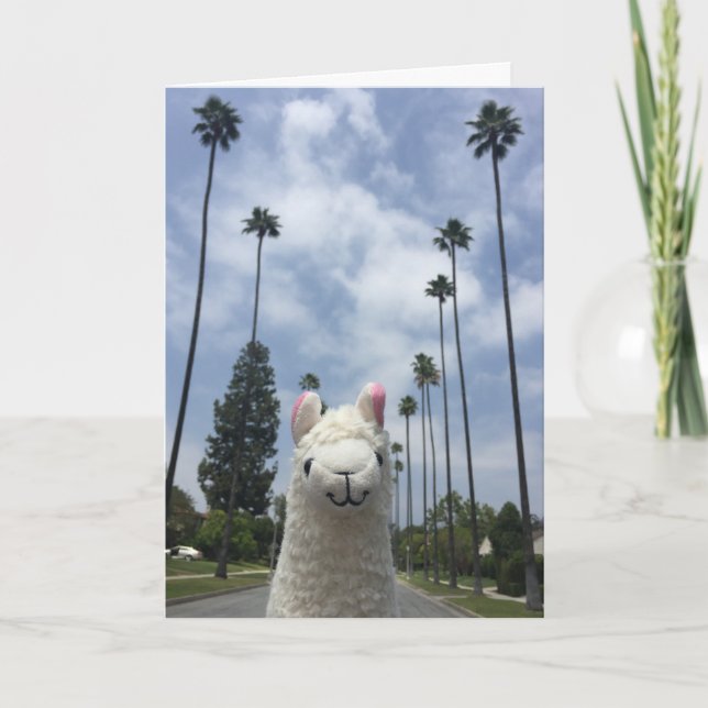 Llama With No Drama Greeting Card (Front)