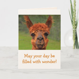 Llama Wonder Birthday Card