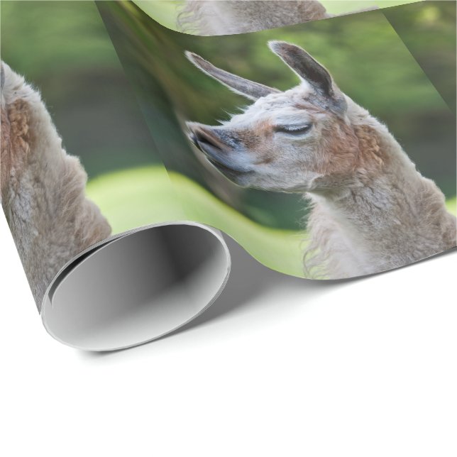 Llama Wrapping Paper (Roll Corner)