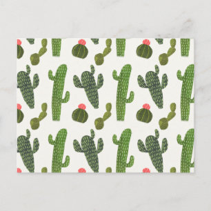 Llamarama Collection   Cute Cactus Postcard