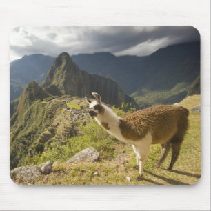 LLamas and an over look of Machu Picchu, Mouse Pad