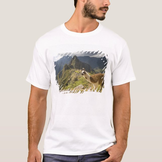 LLamas and an over look of Machu Picchu, T-Shirt (Front)