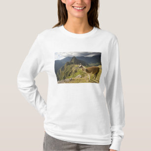 LLamas and an over look of Machu Picchu, T-Shirt