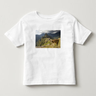 LLamas and an over look of Machu Picchu, Toddler T-Shirt