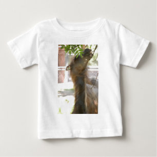 Llamas Baby T-Shirt