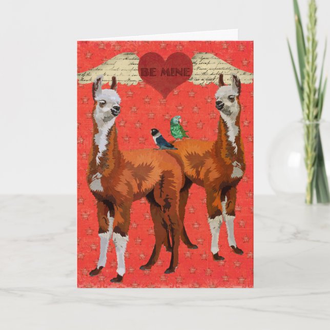 LLAMAS & FEATHERS Heart Valentine Card (Front)