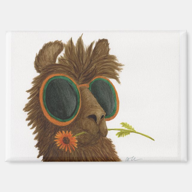Llamas in Shades: May Magnet 3.5"x2.5" (Front)