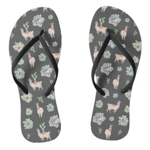 Llamas in the desert with cacti and amaryllis thongs