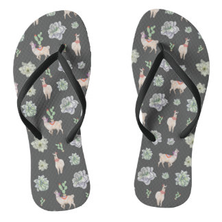 Llamas in the desert with cacti and amaryllis thongs