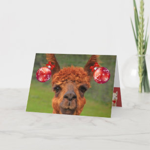 Llamas Love Christmas Holiday Card